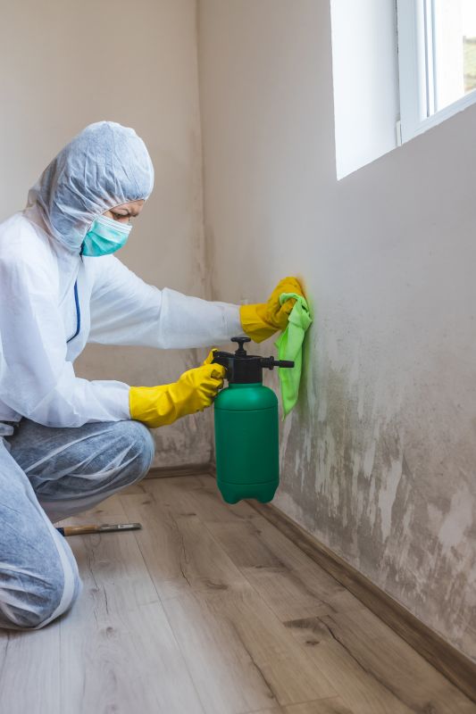 Prevent Mold Growth